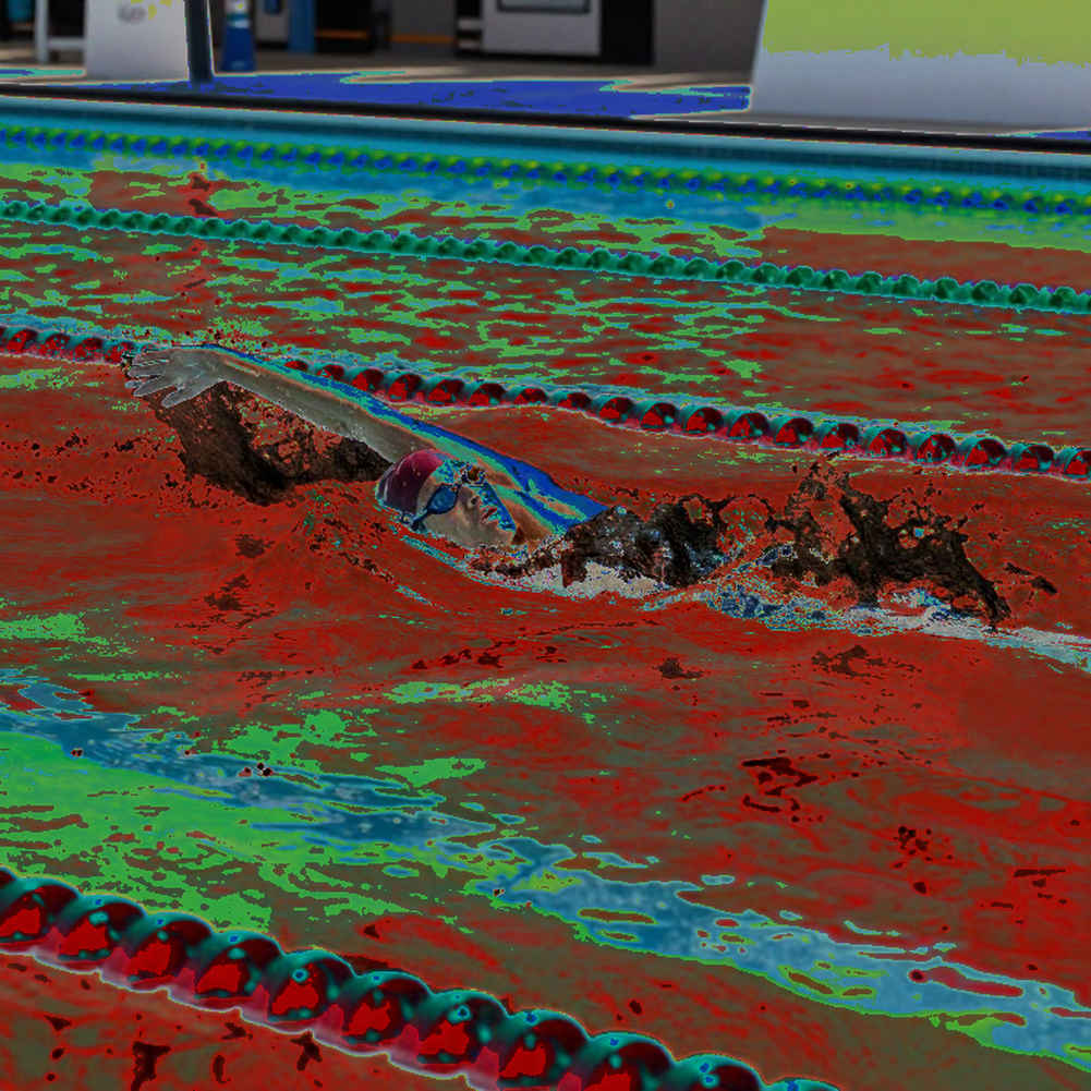 The Pink Cockatoo and the Empty Pool: What Brisbane 2032's Logo Owes the Water The Pink Cockatoo and the Empty Pool: What Brisbane 2032's Logo Owes the Water
